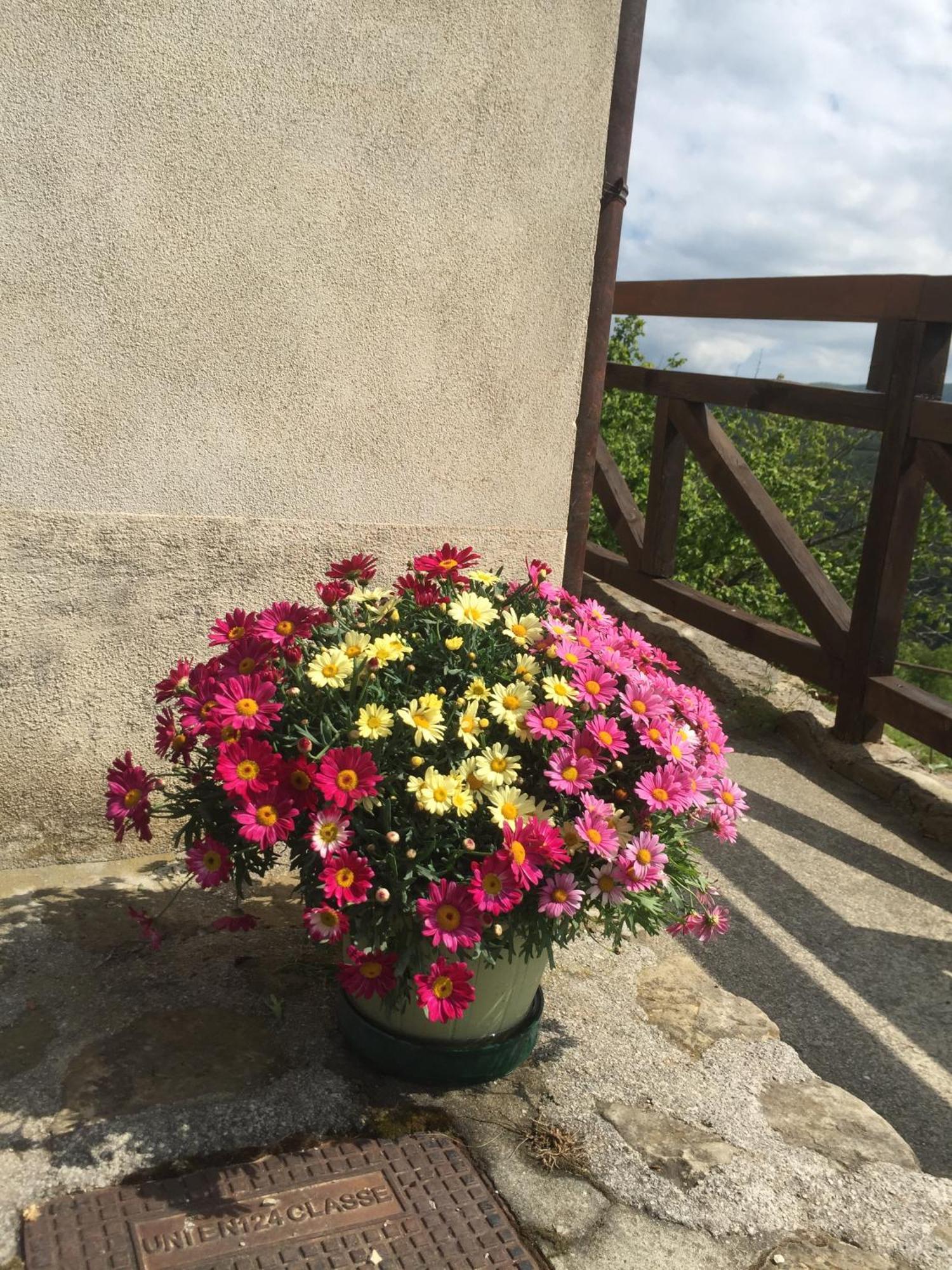 Bed and Breakfast Residenza Cima Le Vigne Миллезимо Номер фото
